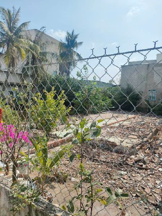  Bán đất  xã Nhà Bè – Huỳnh Tấn Phát- 4x17- 4ty850 