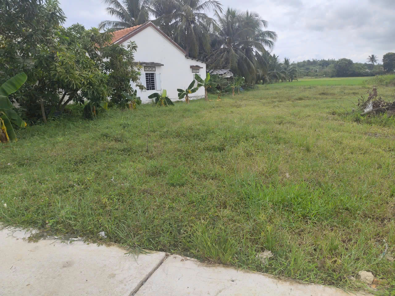  CHÍNH CHỦ BÁN ĐẤT THỊ XÃ NINH HOÀ-KHÁNH HÒA 