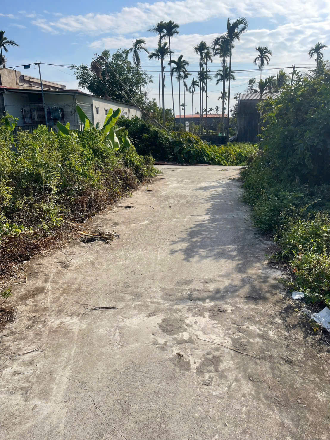  BÁN LÔ ĐẤT ĐẸP – TDP AN TOÀN, HÒA NGHĨA, DƯƠNG KINH – GIÁ CHỈ 7xx TRIỆU! ZALO 0567 222 555 