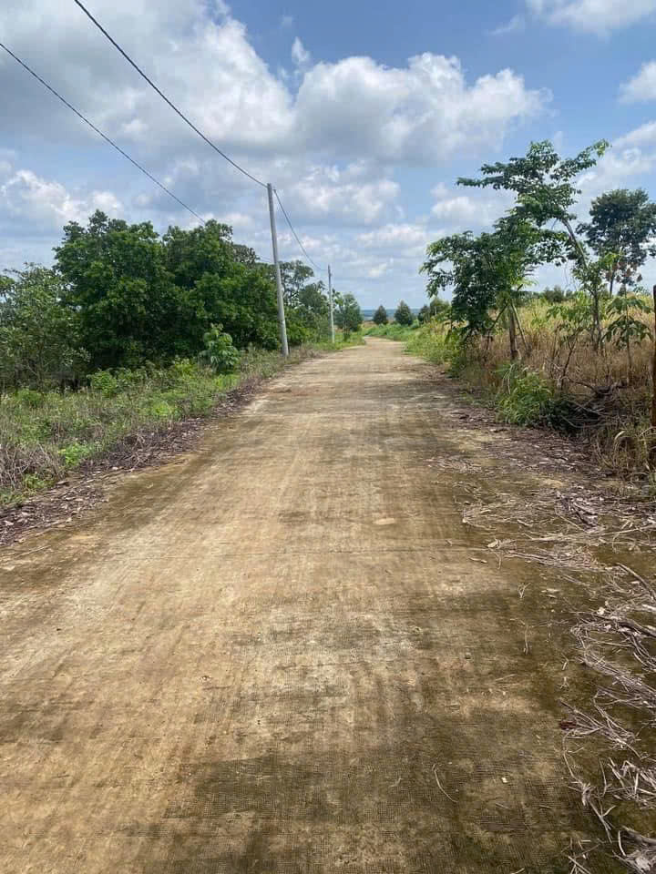  CHÍNH CHỦ CẦN BÁN ĐẤT CHÍNH QUY TẠI  XÃ LỘC ĐIỀN – LỘC NINH – BÌNH PHƯỚC 