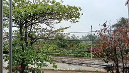  CHÍNH CHỦ CẦN BÁN ĐẤT MẶT ĐƯỜNG LÊ THÁI TỔ – TRUNG TÂM XÃ KIM TÂN, HUYỆN THẠCH THÀNH, TỈNH THANH HÓA 