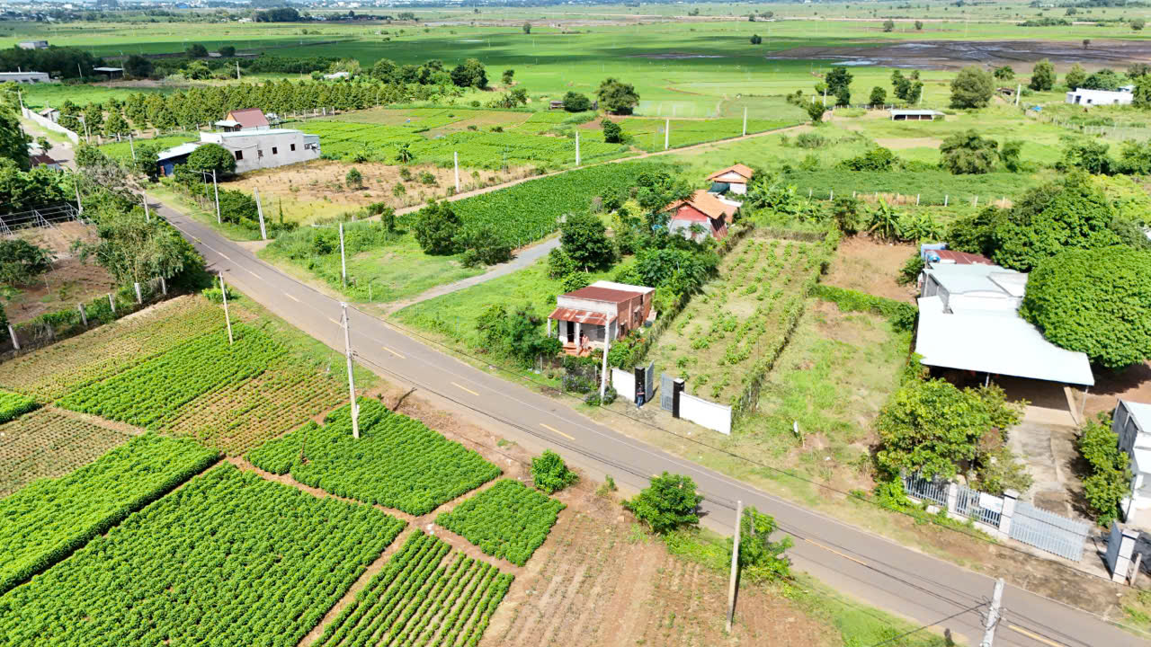  Chủ bán 500mv 100tc 
NAM Kì Khởi Nghĩa Đất Đỏ _ HCM 