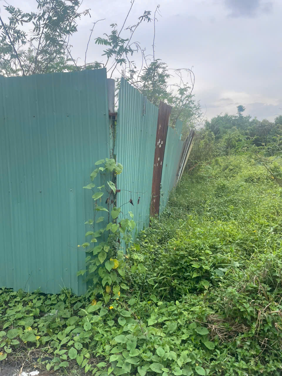  LÔ ĐẤT GÓC 2MT NHỊ BÌNH (ĐÔNG THẠNH), HÓC MÔN GẦN SÔNG SG, PHÀ AN SƠN CHỈ 14,5 TỶ 