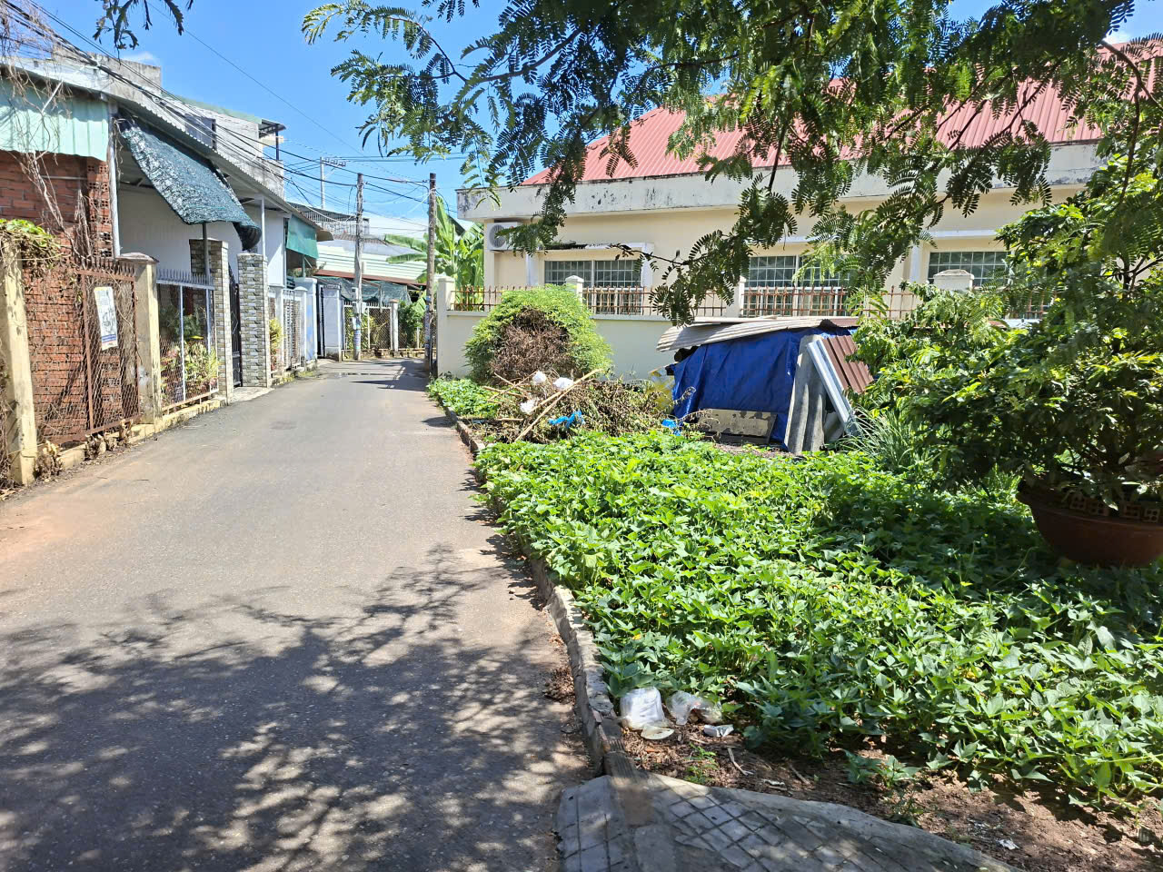  Mình lên lại lô 156m hòa long. 50 thổ. Sổ hồng sẵn.  Khu đối diện cổng chính chợ. 