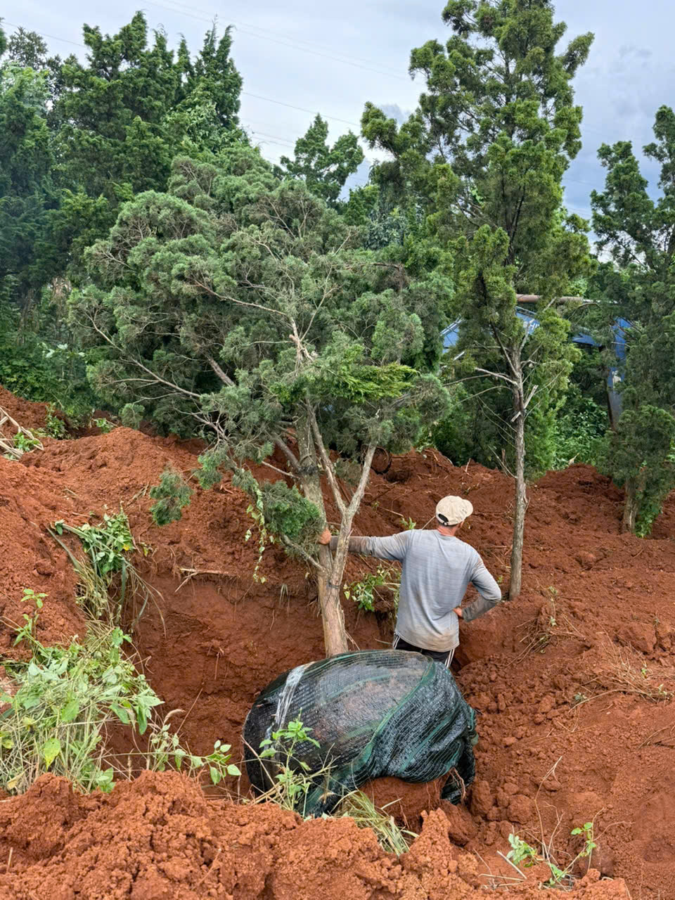  Cần bán 12 lô đất. Xã Phú Hội, Xã Ninh Gia, xã Tà Hine. xã Lạc Dương. Lâm Đồng. 