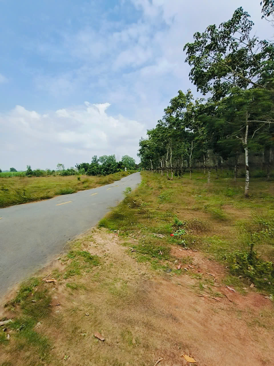  Diện tích 25400m2 đất tại Hoà Bình, Xuyên Mộc , BRVT. 