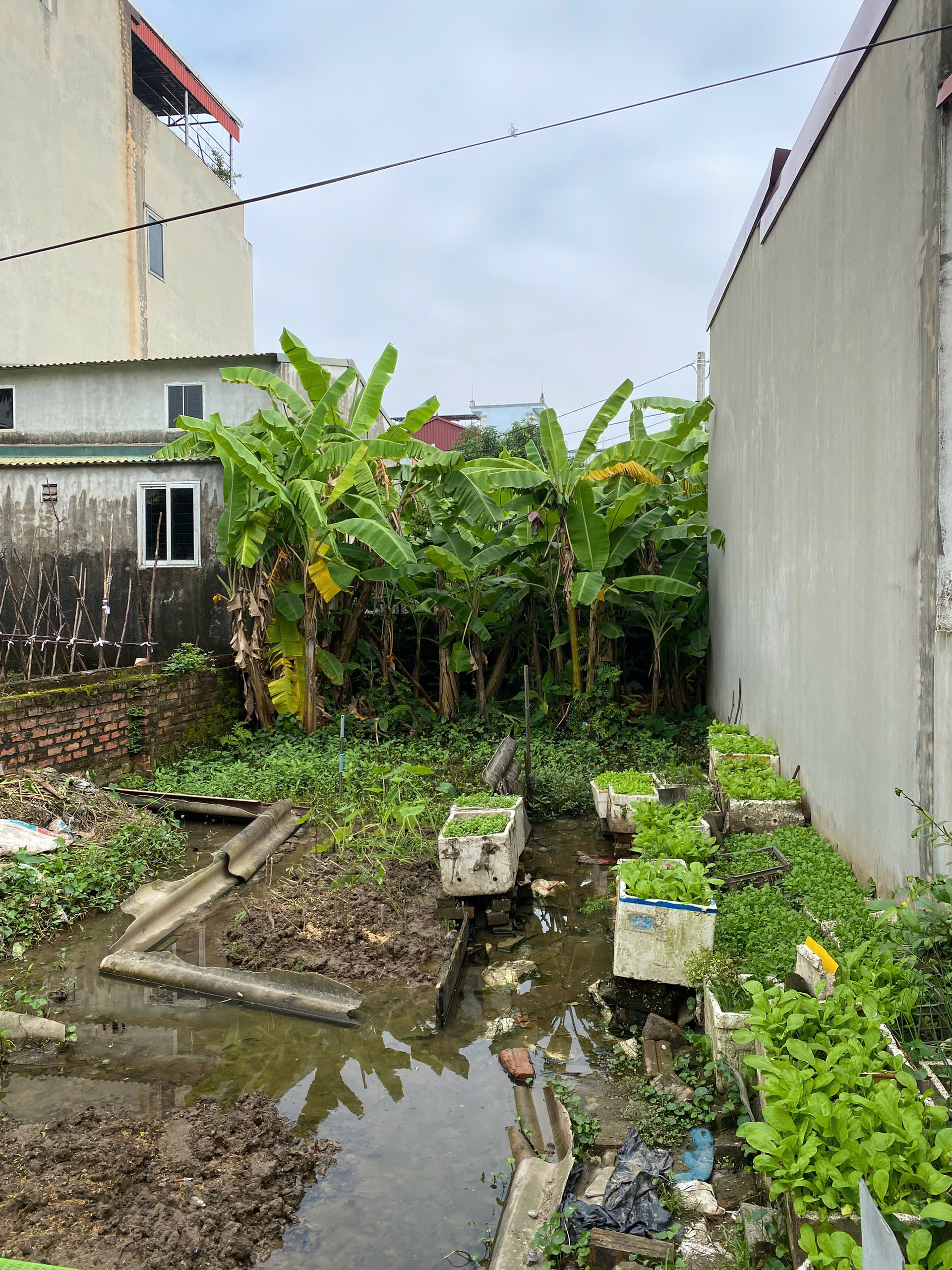  BÁN ĐẤT LẠI ĐÀ, ĐÔNG HỘI, ĐÔNG ANH, HỒ ĐIỀU HOÀ,HÀNG XÓM VIN,OTO,NGÕ THÔNG 58M 