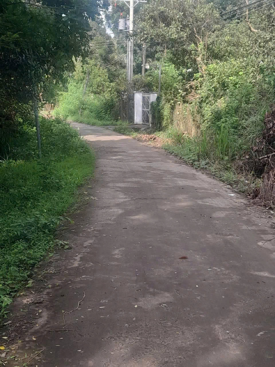  BÁN ĐẤT PHÚ LONG – VỊ TRÍ ĐẸP, GIÁ RẺ CHỈ HƠN 1 TỶ- BÌNH LONG - BÌNH PHƯỚC 