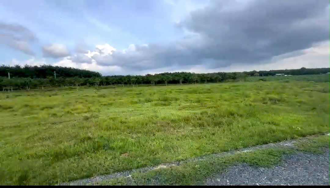  Bán Gấp Lô Đất Đẹp Giá Tốt DT 3.700m² Tại Tân Hòa, Tân Bình, TP. Tây Ninh 