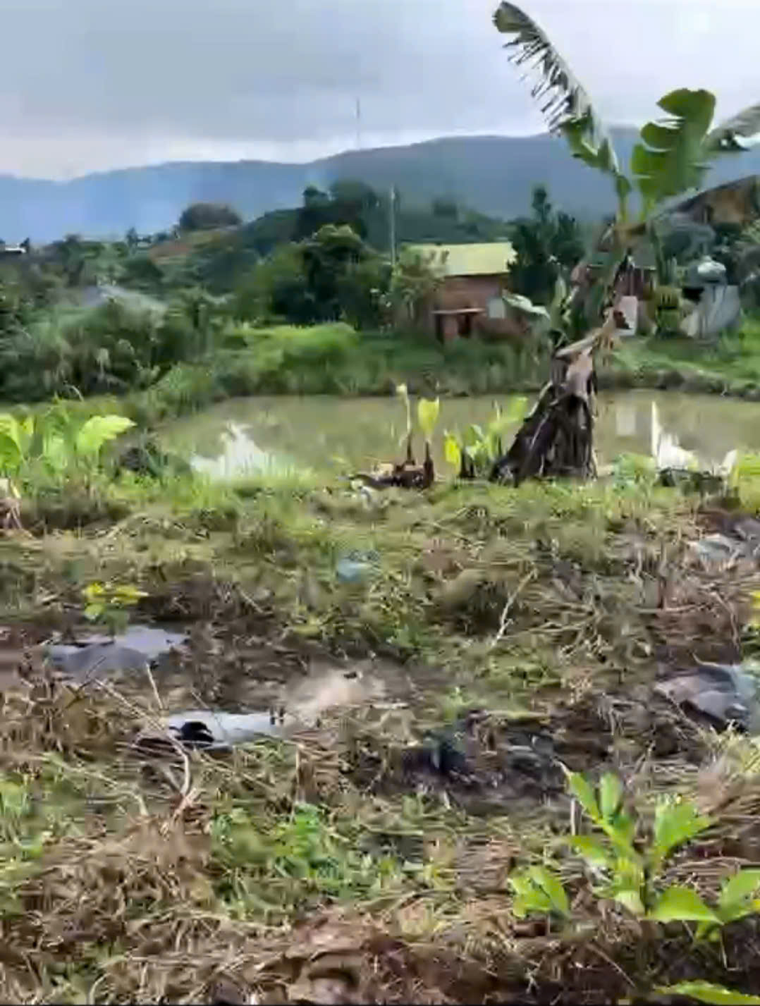  SỞ HỮU NGAY LÔ ĐẤT ĐẸP - GIÁ TỐT  Tại  Xã Krông nô, Huyện Lắk. Tỉnh Đắk Lắk 