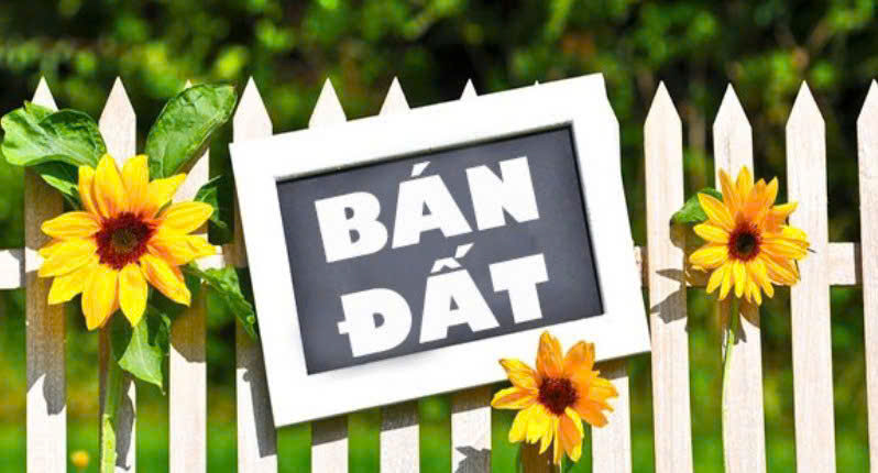  CHÍNH CHỦ CẦN BÁN MẢNH ĐẤT VUÔNG VẮN, ĐẸP TẠI NGÕ 387 VŨ TÔNG PHAN, PHƯỜNG KHƯƠNG ĐÌNH, QUẬN THANH XUÂN, HÀ NỘI 