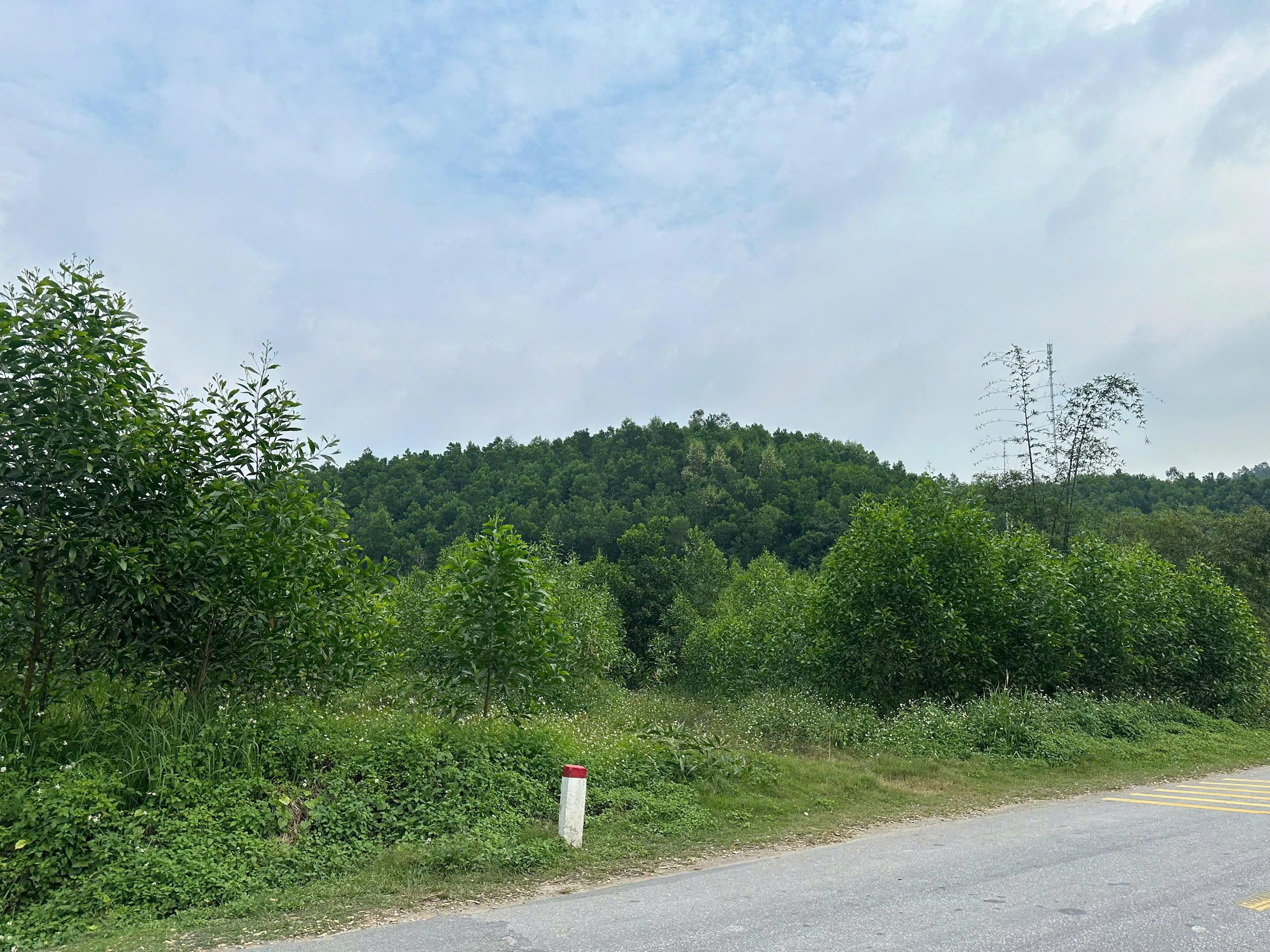  CHÍNH CHỦ CẦN SANG NHƯỢNG LÔ ĐẤT LỚN TẠI HOÀNH BỒ – HẠ LONG 