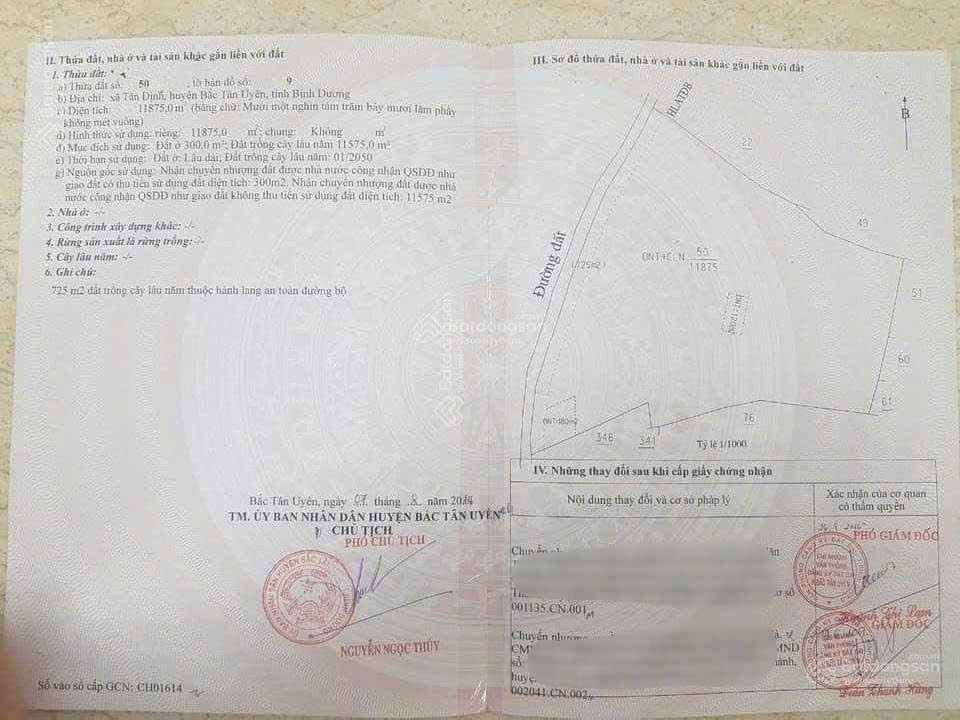  Siêu Lô Đất Mặt Tiền - Đầu tư là sinh lời - Xã Tân Định, Bắc Tân Uyên, Bình Dương 