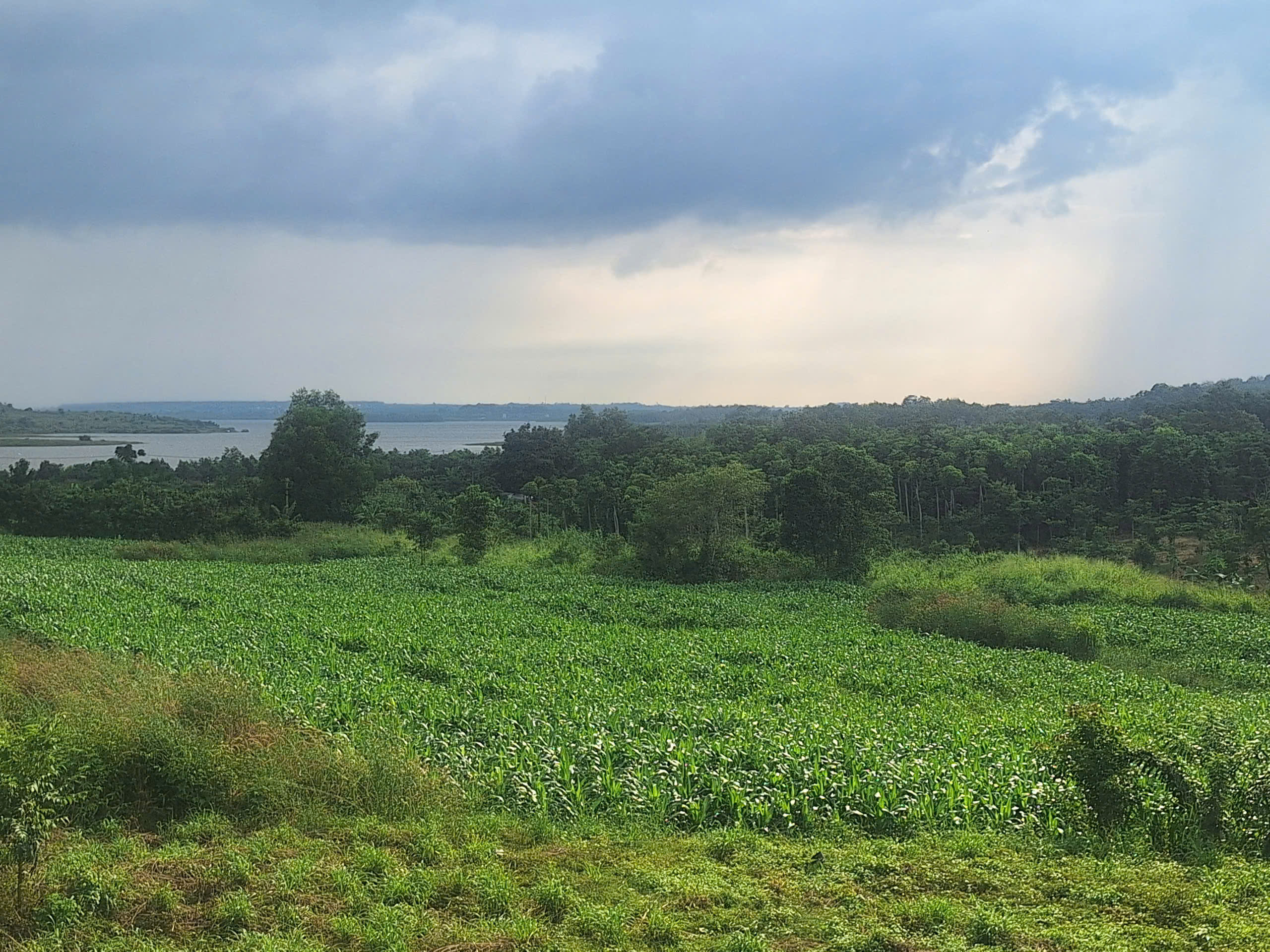  Bán quả đồi 11.777m2 ( gần 1ha2) đất view hồ sông Ray, vị trí đẹp nhìn hồ mát mẻ 