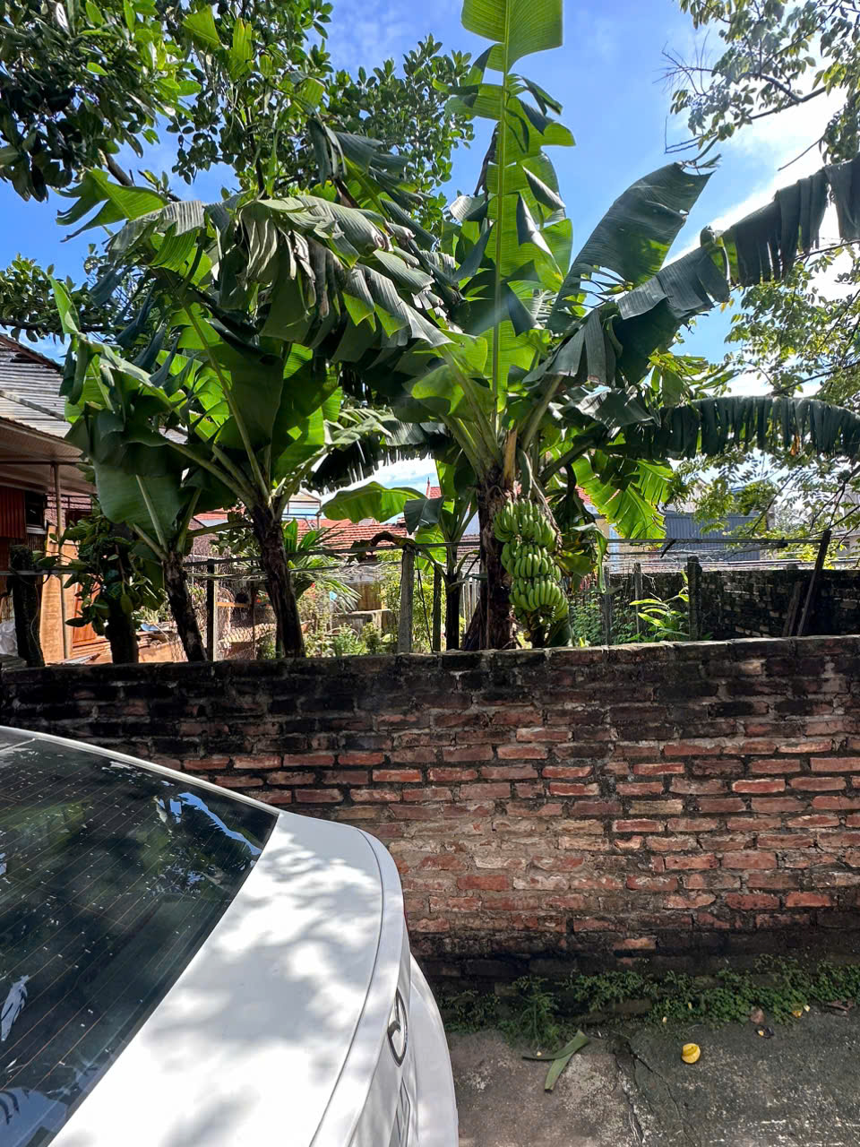  Bán đất cực đẹp Chương Dương, Thường Tín cạnh Vin Plympic 