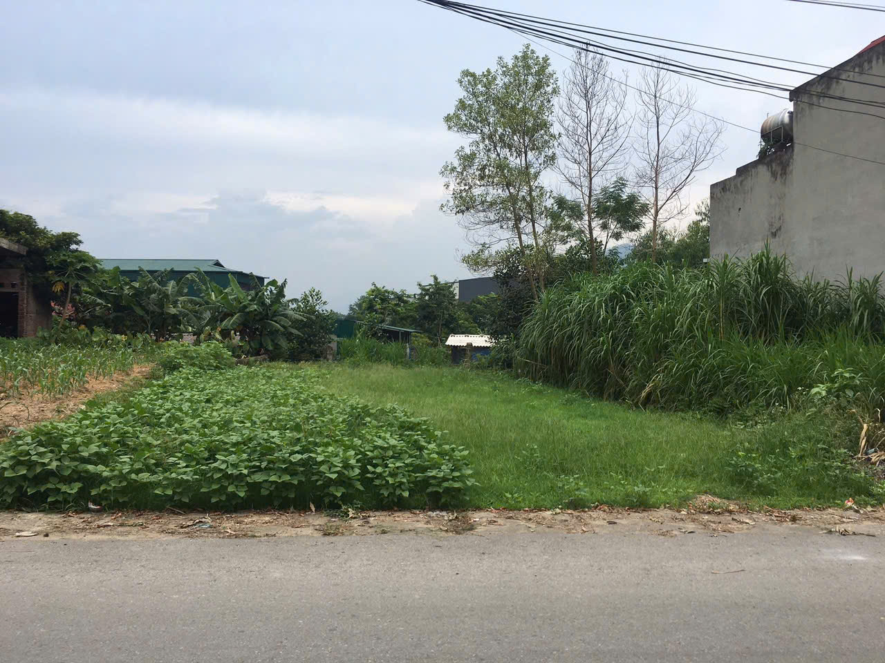  SIÊU PHẨM ĐẤT THỔ CƯ MẶT ĐƯỜNG TỈNH LỘ 313 – HƯƠNG LUNG, CẨM KHÊ, PHÚ THỌ 