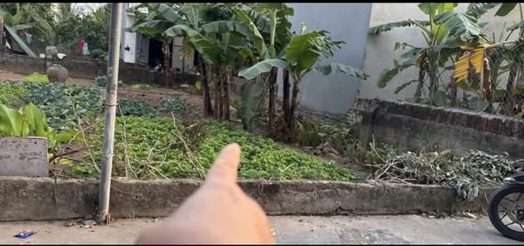  66,4m² đất đẹp Thọ Xuân – Đan Phượng - Ô tô tránh, vị trí kết nối cực tiện 