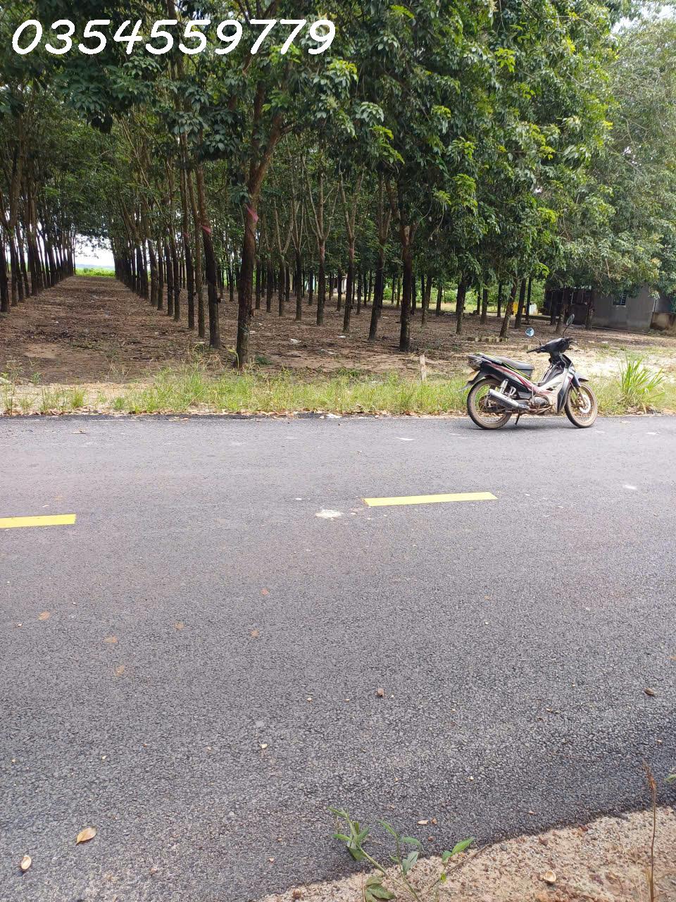  Chính chủ cần bán lô đất mặt tiền đường Tân Định 37, Bắc Tân Uyên, Bình Dương, giá đầu tư 