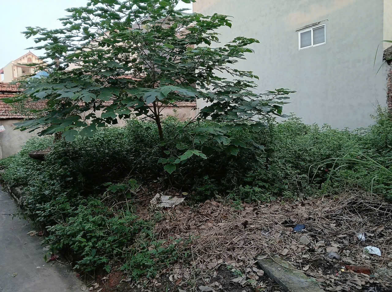  CC EM CẦN TIỀN MUỐN LÔ ĐẤT Ở HIỆP THẬN PHÚC THỌ.
DIỆN TÍCH 42M - MẶT -HẬU 4M NHƯ NHAU,
CÁCH ĐƯỜNG 32 CẦU PHÙNG CHỈ 500M.
EM BÁN GIÁ CONG KHAI 1.2 TỶ CÓ GIA LỘC CHO BÁC NÀO THIỆN TRÍ,
LH;0964982442 