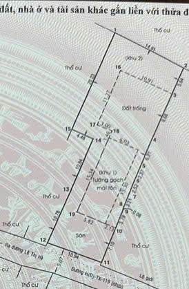  HÀNG NGỘP CỰC HIẾM NHÀ VƯỜN HƠN 500M² GIỮA LÒNG TÂN XUÂN – CHỈ 16 TỶ! 