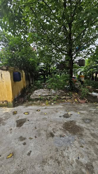  MUỐN BÁN NHANH 52.7m² ĐẤT LA THẠCH _ PHƯƠNG ĐÌNH _ ĐAN PHƯỢNG ( LIÊN MINH ) _ HÀ NỘI. 