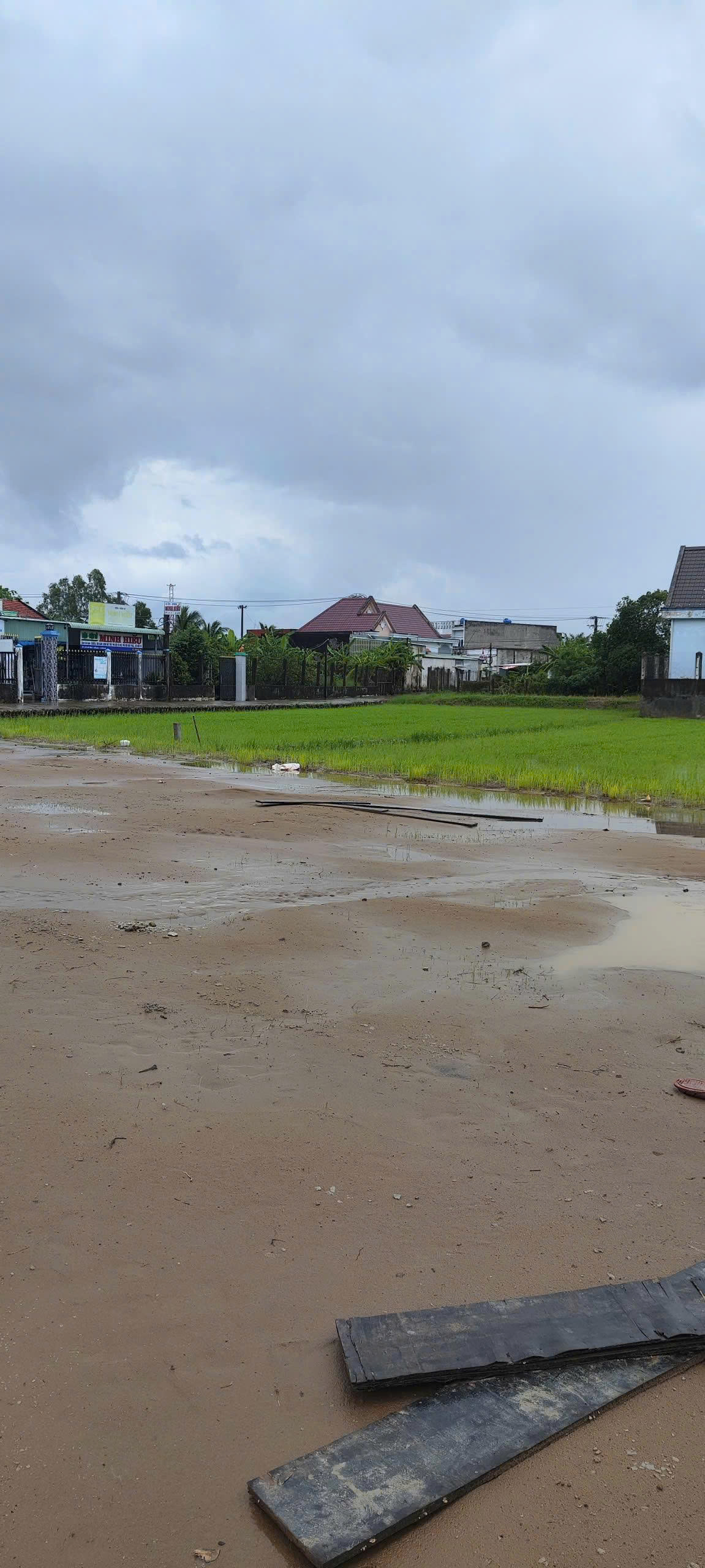  CẦN BÁN GẤP ĐẤT MT ĐƯỜNG BÊ TÔNG. PHÂN LÔ TẠI MỸ YÊN, HUYỆN BẾN LỨC, TỈNH LONG AN, 