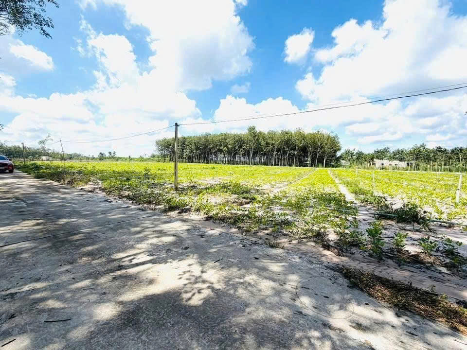  CHÍNH CHỦ BÁN 11 LÔ ĐẤT – KHU PHỐ 5, XÃ MINH HƯNG, HUYỆN CHƠN THÀNH, BÌNH PHƯỚC 
