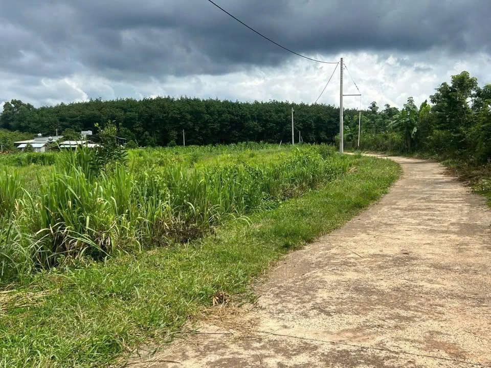  ĐẤT ĐẸP GIÁ RẺ - CẦN BÁN TẠI LỘC NINH - BÌNH PHƯỚC 