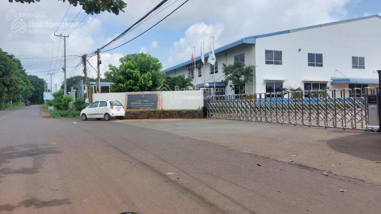  Đất Nền 120m²  SHR nhựa 12m Vị  Gần Cụm CN Dong In 6000 công nhân Chỉ 980 Triệu 