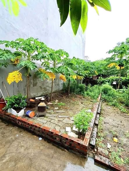  ĐỔI CHỦ CHO ĐẤT THỔ CƯ 41,9M² – CAO XÁ, HOÀI ĐỨC, HÀ NỘI 