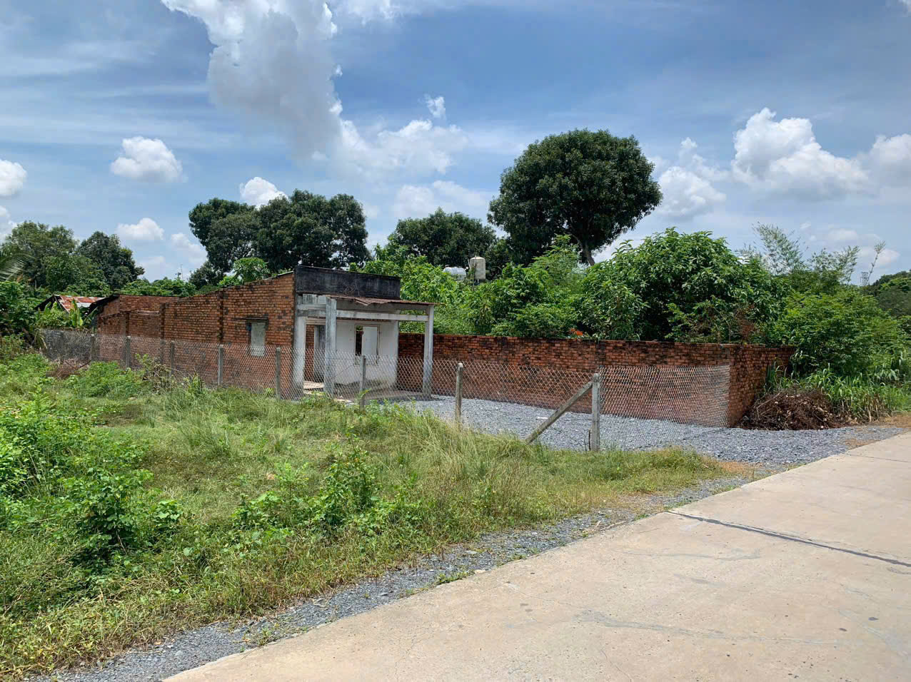  BÁN ĐẤT MẶT TIỀN BÊ TÔNG – XÃ PHẠM VĂN CỘI, HUYỆN CỦ CHI (TP.HCM) 