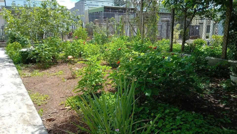  CHO THUÊ ĐẤT THỔ CƯ 5 NĂM TẠI ĐƯỜNG HOÀNG QUỐC VIỆT, LIÊN NGHĨA, ĐỨC TRỌNG, LÂM ĐỒNG 