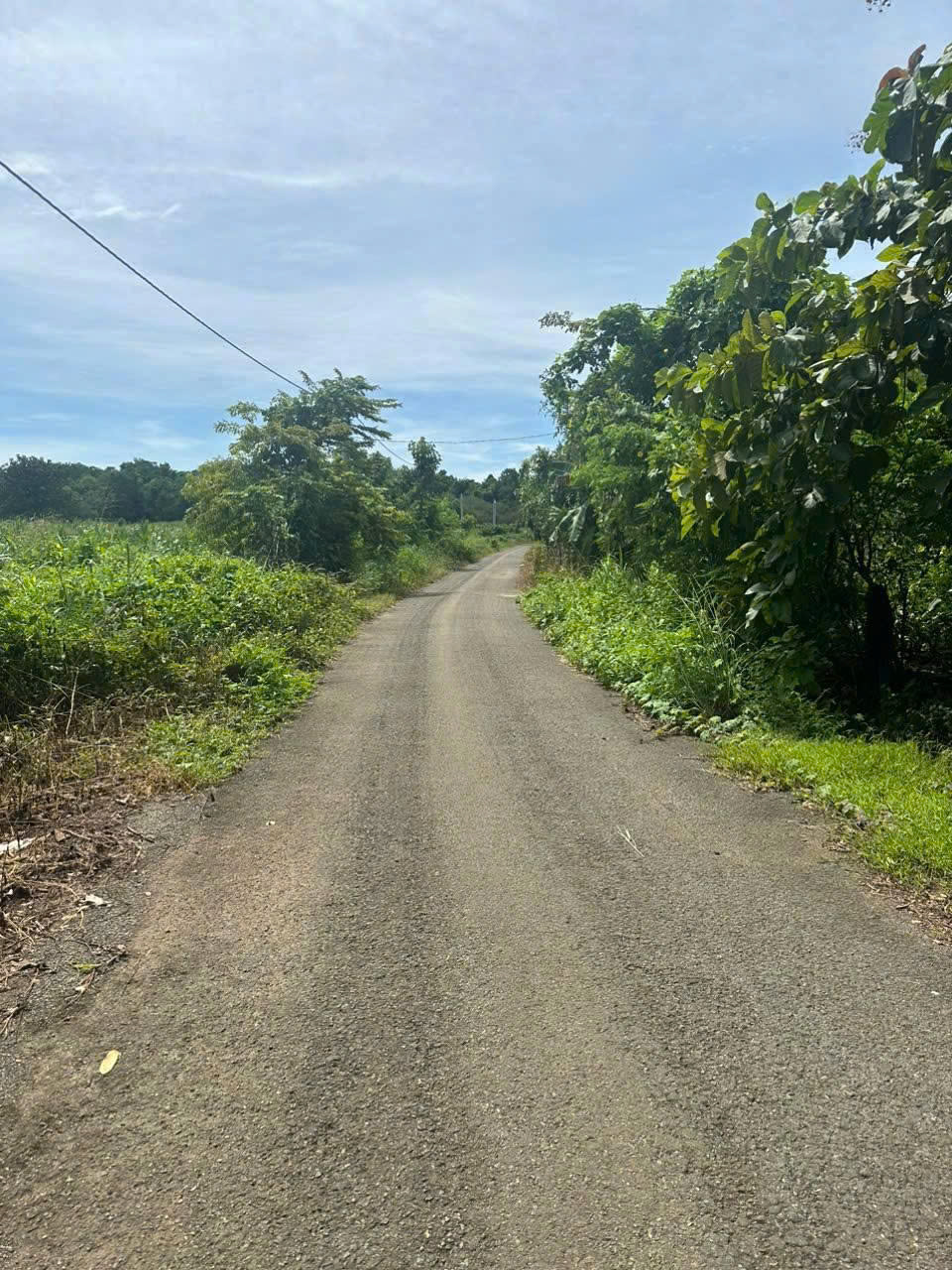  BÁN ĐẤT TẠI - XÃ AN LỘC- HUYỆN LỘC NINH – BÌNH PHƯỚC 