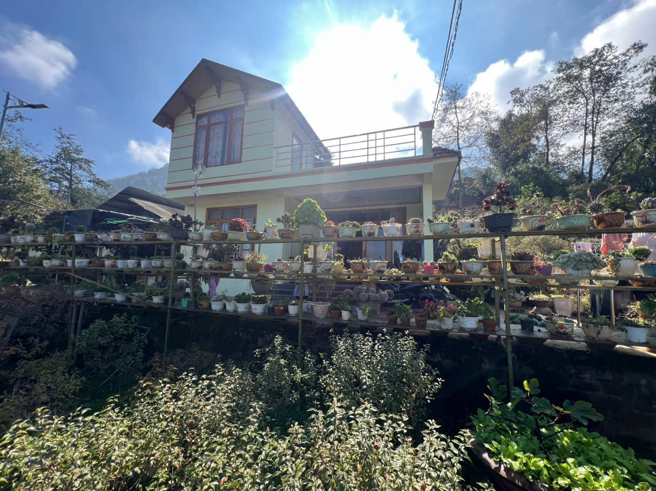  BÁN HOẶC CHO THUÊ LÂU DÀI – NHÀ VƯỜN RỘNG 3000m² TẠI SA PA 