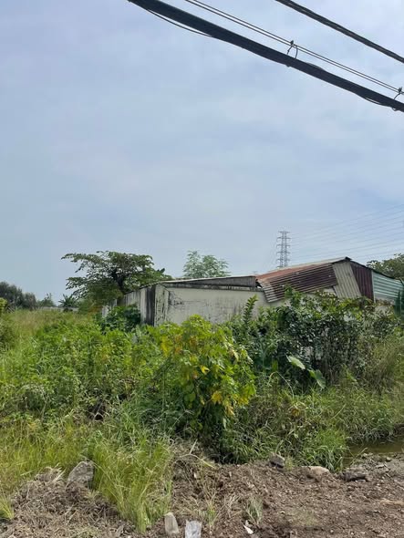  Bán đất mặt tiền 8000m giá 12 triệu/m2 Đường Tỉnh Lộ 15 