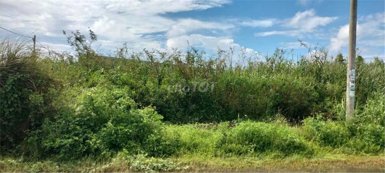  ĐẤT CHÍNH CHỦ - SỔ HỒNG RIÊNG - Bán ĐẤT KHU DU LỊCH SUỐI MƠ - ĐỒNG NAI 