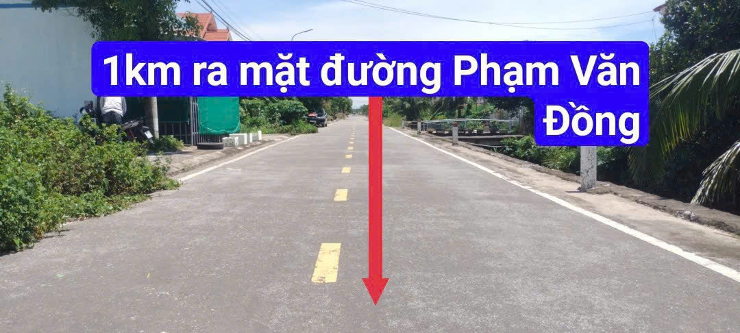  Bán Gấp 300m² Đất Mặt Đường Trung Nghĩa, Đồ Sơn – Giá Rẻ Đầu Tư 