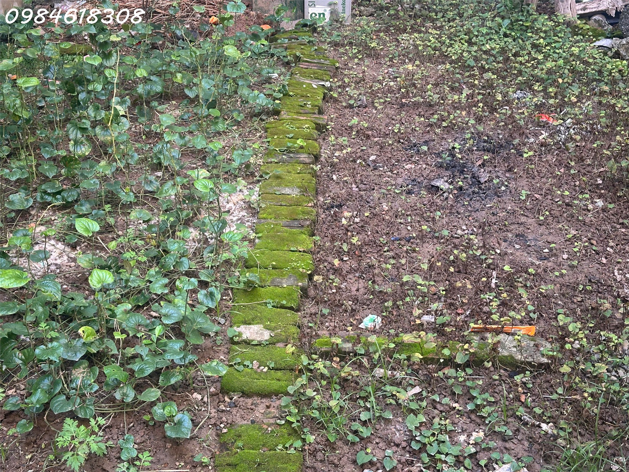  Bán đất mặt phố Phương Canh - phường Xuân Phương, 106m2 