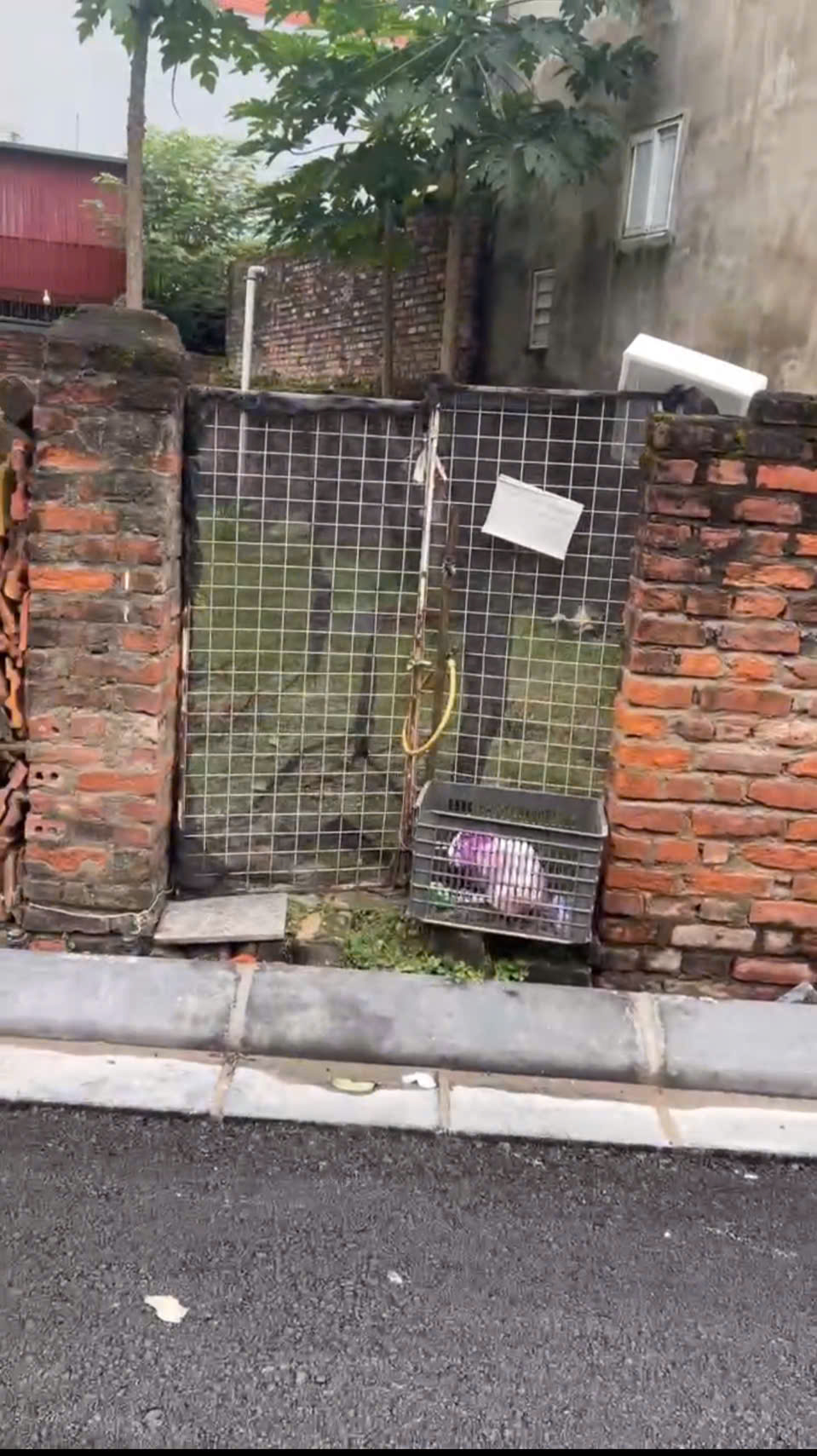  Giá Đầu Tư- Bán đất Mai Lâm- Oto tránh- Kinh doanh sầm uấtHàng xóm vin Cổ Loa- 70m nhỉnh 7 tỷ (TL) 