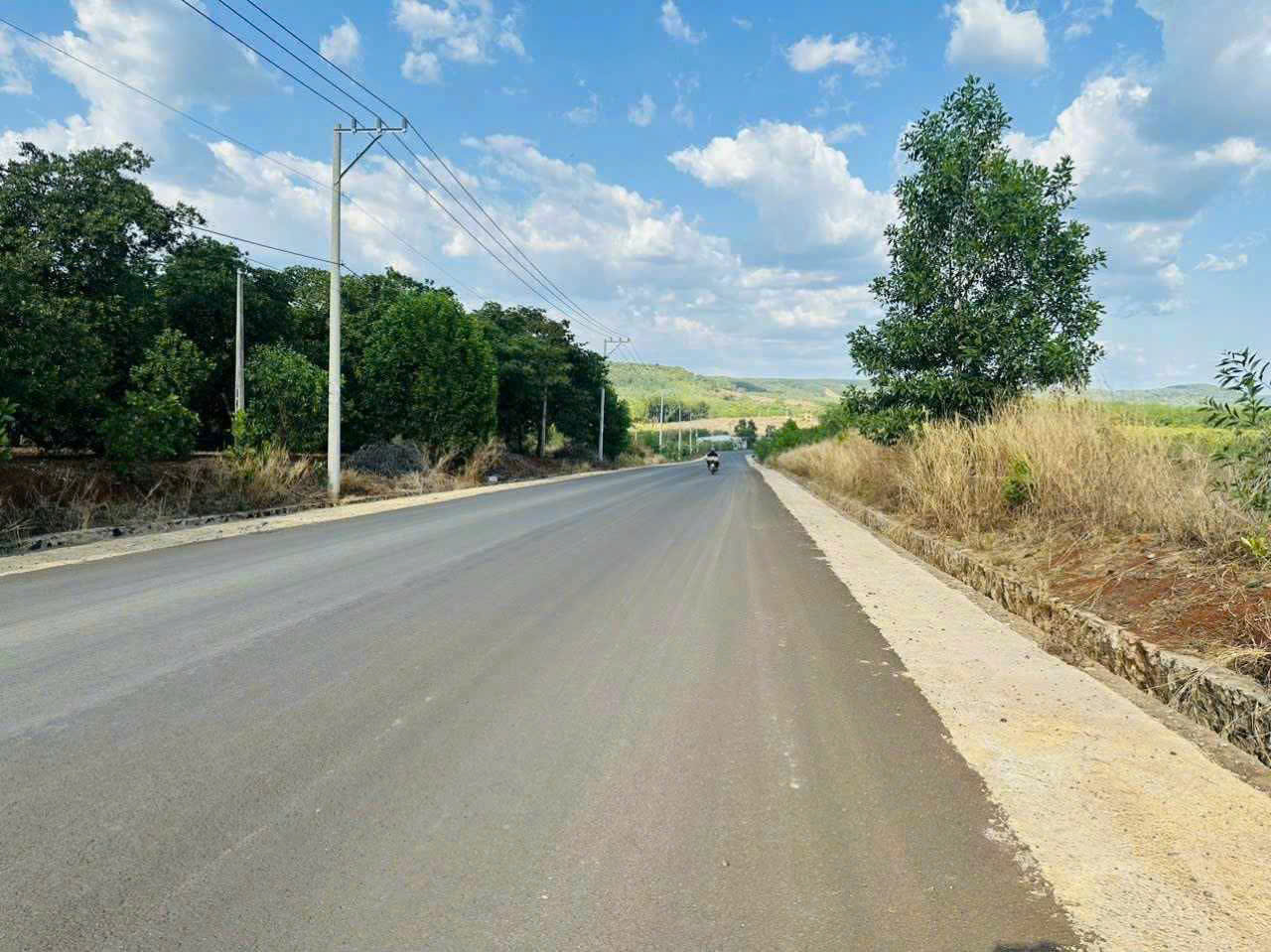  CẦN BÁN ĐẤT MẶT TIỀN ĐƯỜNG NHỰA - TÂN PHƯỚC - ĐỒNG PHÚ - BÌNH PHƯỚC CHỈ 9 TỶ/ HA 