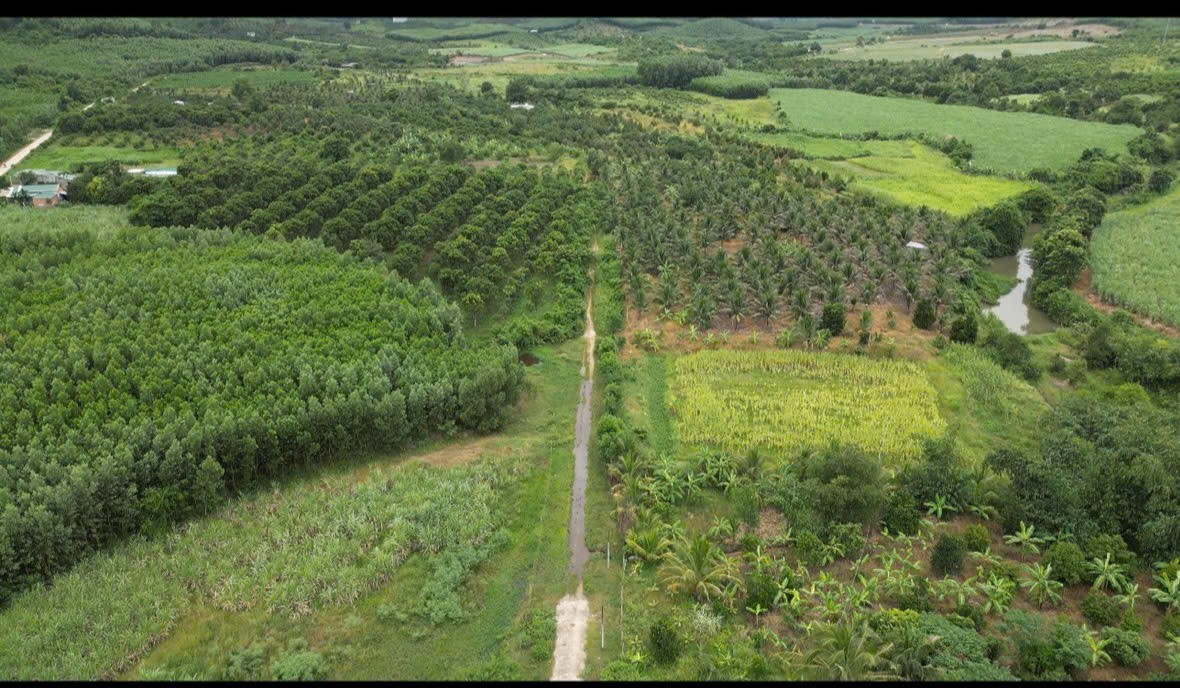  ĐẦU TƯ SINH LỜI - Chính Chủ Cần Bán Lô Đất Tại Ninh Tân, Ninh Hòa, Khánh Hòa 