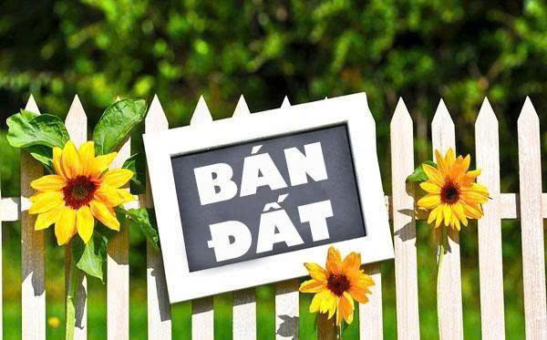  BÁN ĐẤT PHỐ VỊ DƯƠNG – MỸ XÁ (PHƯỜNG THÀNH NAM) – TP. NAM ĐỊNH 