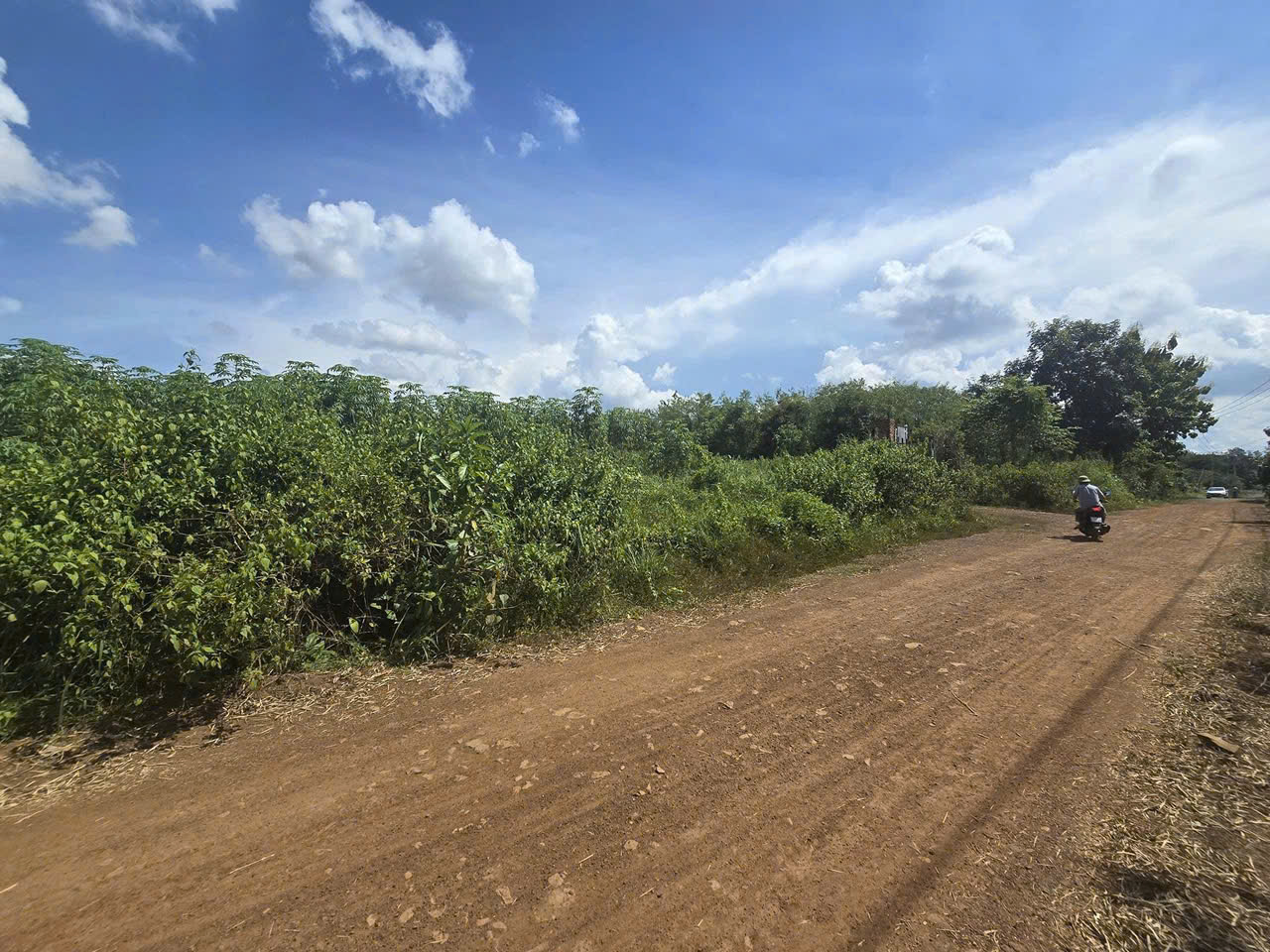  BÁN ĐẤT 2 MẶT TIỀN – XÃ LỘC HƯNG, LỘC NINH, BÌNH PHƯỚC 