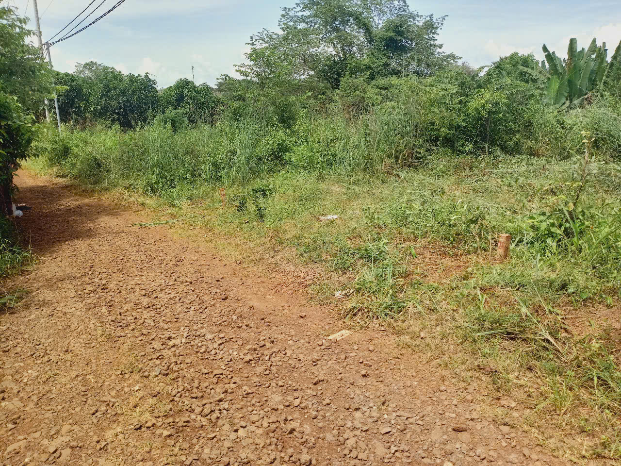  SUN VALLEY – TRÁI TIM NGHỈ DƯỠNG BẢO LỘC LÂM ĐỒNG 