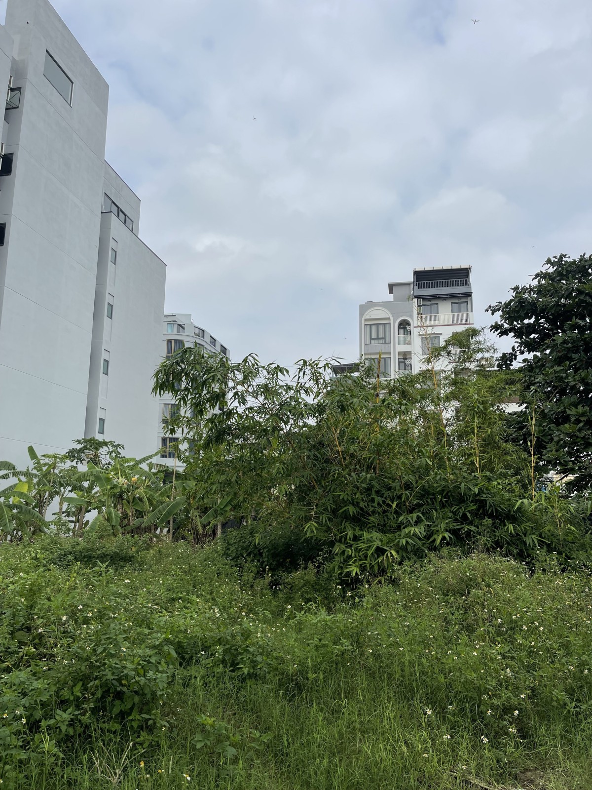  Bán Đất Mặt Tiền Võ Nguyên Giáp 145 m², Vị Trí Kim Cương Gần Biển Mỹ Khê 