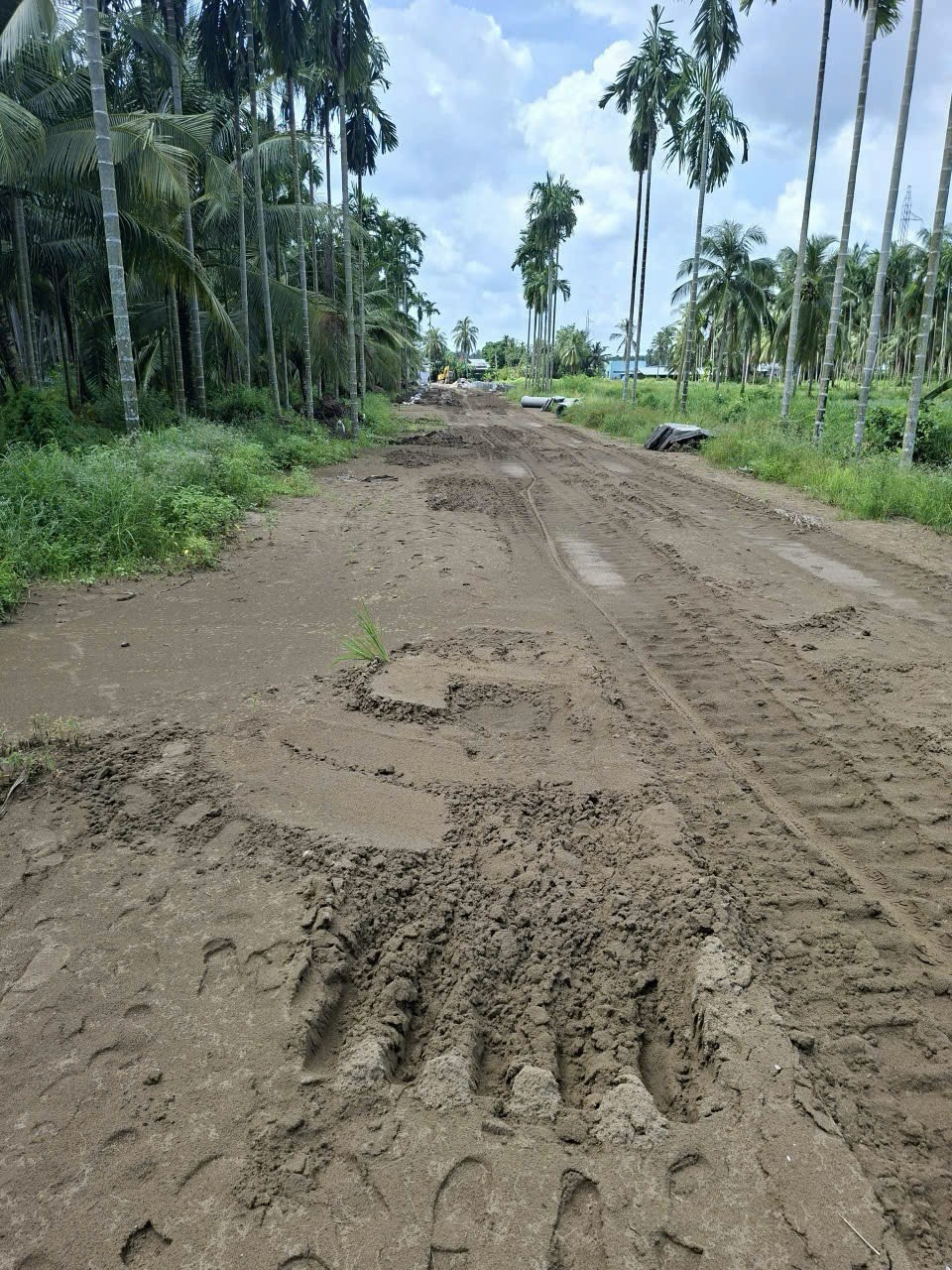  ĐẤT ĐẸP – GIÁ TỐT – CHÍNH CHỦ CẦN BÁN Đất NỀN Xã Bình An Châu Thành, Kiên Giang 