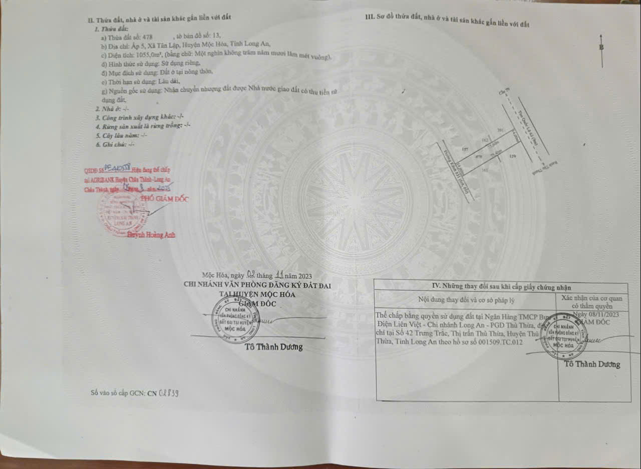  BÁN ĐẤT MẶT TIỀN QL 62, XÃ TÂN LẬP, MỘC HÓA, LONG AN. SỔ ĐỎ CHÍNH CHỦ 