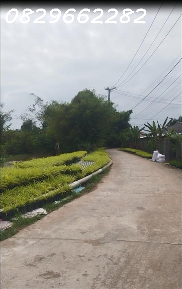  Đất Mặt Tiền 100m2 (5x20) Ngay Làng Hoa Sa Đéc- Sổ Hồng- Chỉ 600 Triệu. 