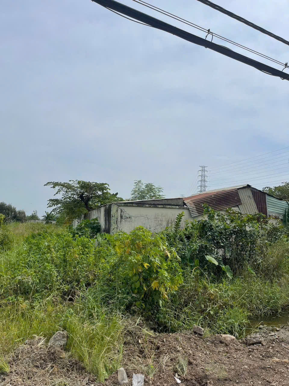  SIÊU PHẨM QUỸ ĐẤT LỚN 8.000m² – 6.000m² THỔ CƯ - MẶT TIỀN TL15, TÂN THẠNH ĐÔNG, CỦ CHI 