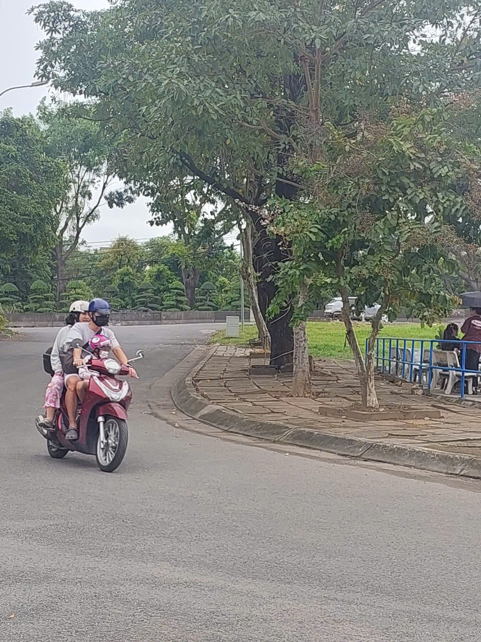  Lô đất biệt thự KDC Nam Long đường D1,Liên Phường giá chỉ 24ty 